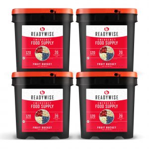 480 Serving Fruit Bundle