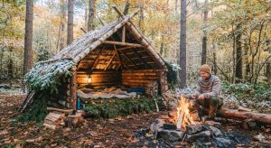 Shelter & Warmth