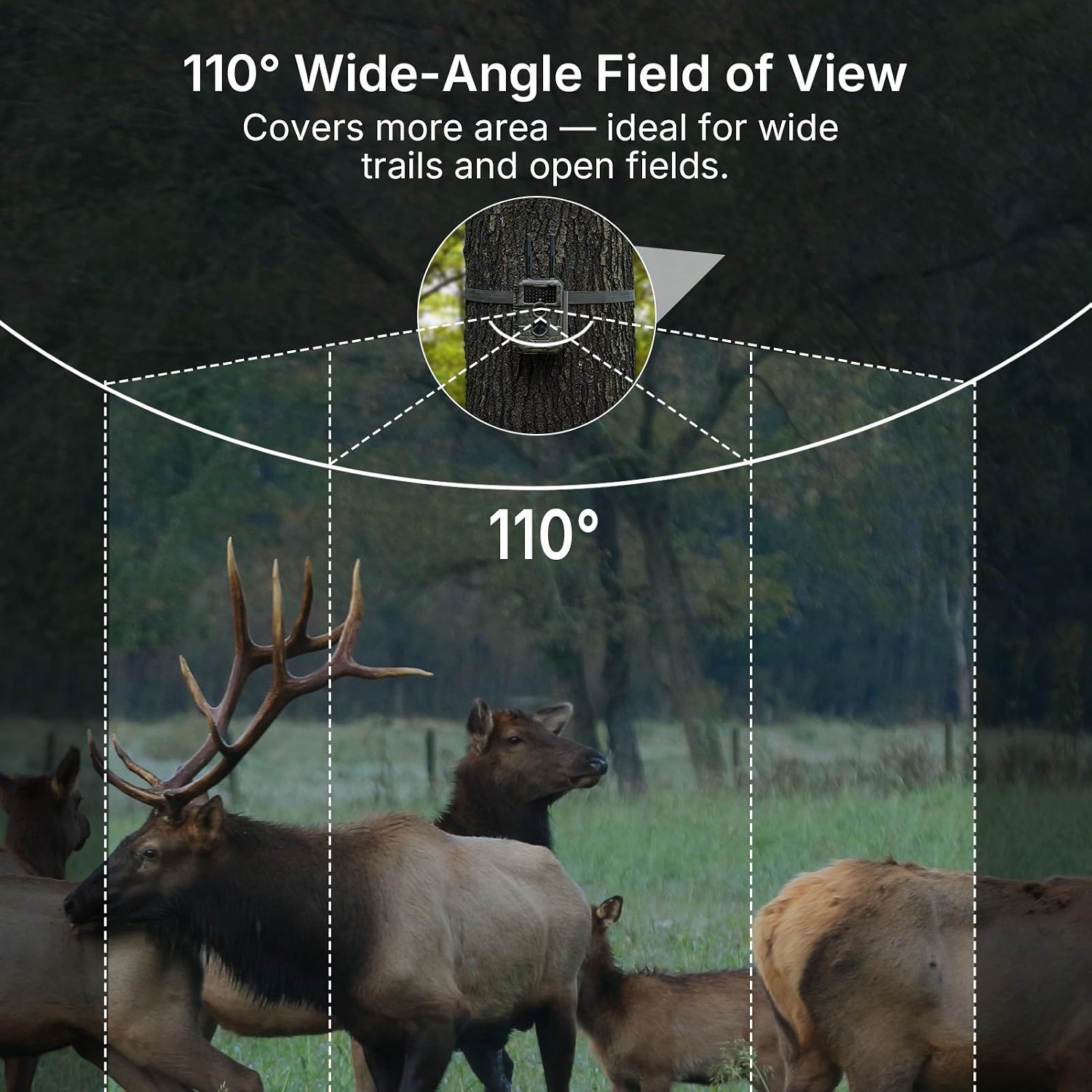 gardepro-e6-2-pro-wide-angle-view GardePro WiFi Trail Camera with 110-degree wide-angle field of view
