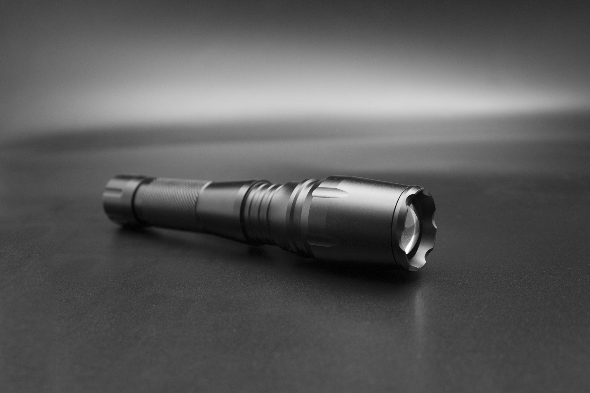 519j.jpg